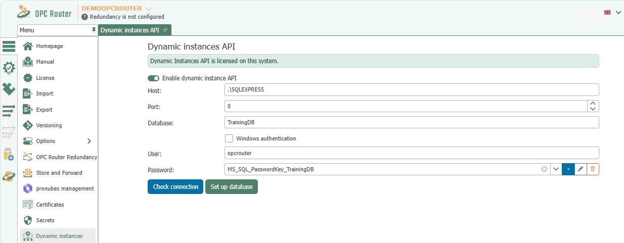 Dynamic Instances API settings with activation, connection details, and buttons for verifying and setting up the database